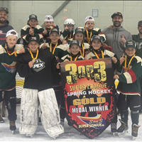 Nighthawks - U13 Div 3 Gold