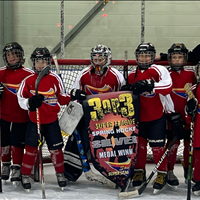 Strathcona Heart Breakers - U9 Div 1a Silver