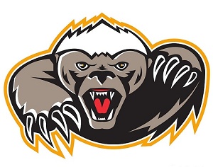Home Logo