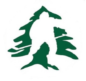 Home Logo