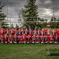 Rams