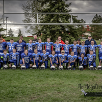 Colts