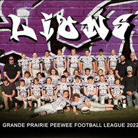 Lions
