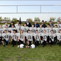 Lions