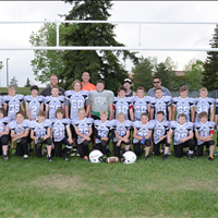 Lions
