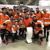 Tigers - D10