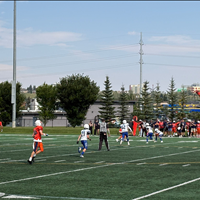 Wildcats vs. Colts - Aug. 29, 2026