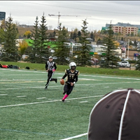 Bulldogs vs. Lions - Oct. 4, 2025