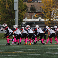 Wildcats vs. Stampeders - Oct. 11, 2025