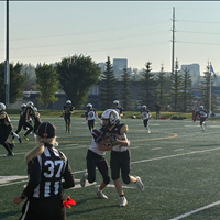 Bulldogs vs. Lions - Aug. 29, 2026
