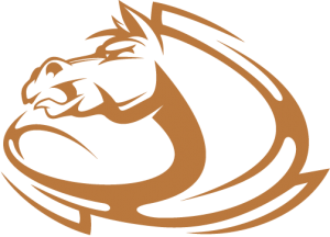 Mustangs Field Lacrosse