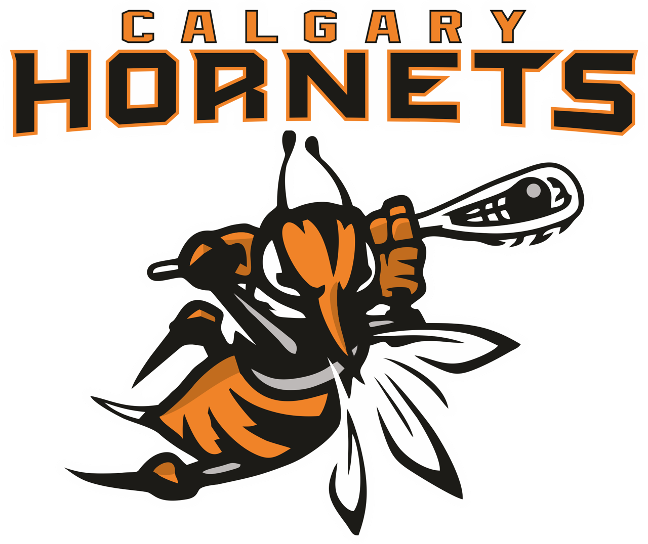 Calgary Hornets U13 C 1