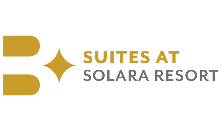 2025 Gold Sponsor - Solara