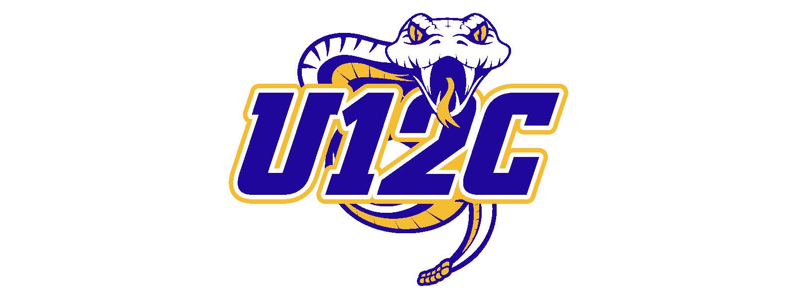 Away Logo