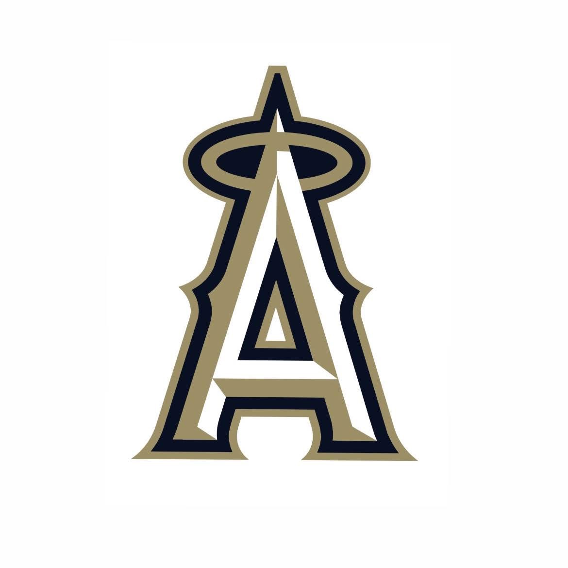 U13 St.Albert Angels Grey Waschuk