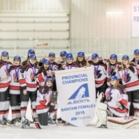 Bantam Female B - Lloydminster