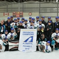 Peewee C - Winfield Mighty Ducks