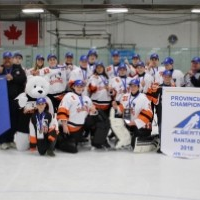 Bantam D - Valleyview Ice Bears