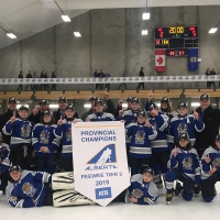 Peewee Tier 3 - Fox Creek Bulldogs