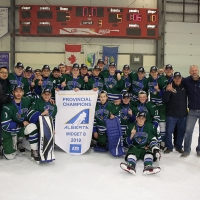 Midget B - Glenlake Hawks