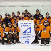 Peewee Female A - Medicine Hat Wildcats