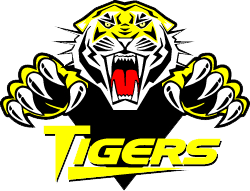 Vermilion Tigers