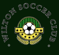 Wilton Warriors