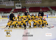 U11 Gold