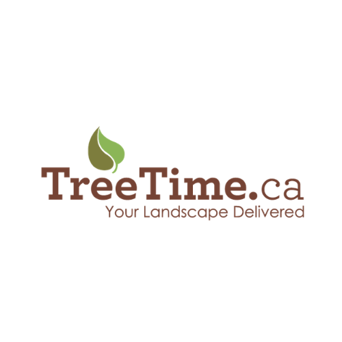 Tree Time