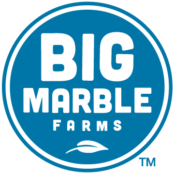Big Marble - Platinum 