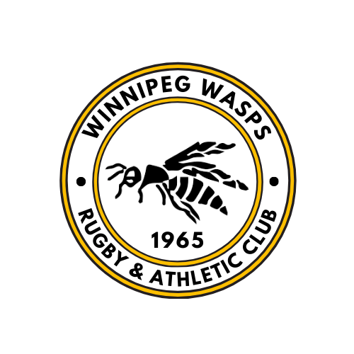Wasps