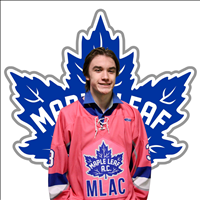 U-18 AA Screwpiles, Pink