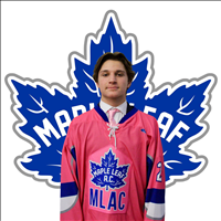 16 AA, Pink Game 2023