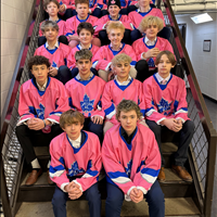 U-15 AA Rux, Pink
