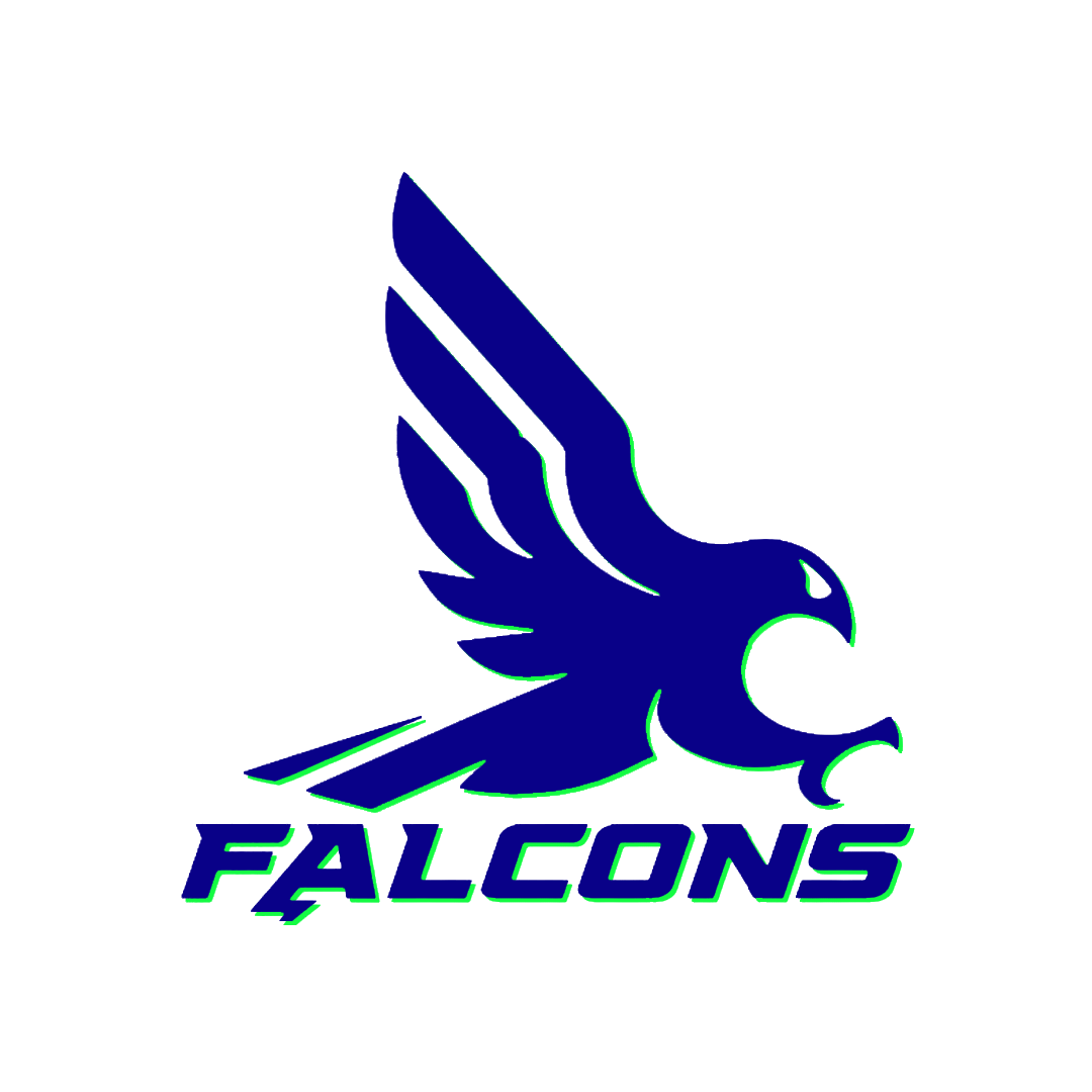 SAINT JOHN FALCONS