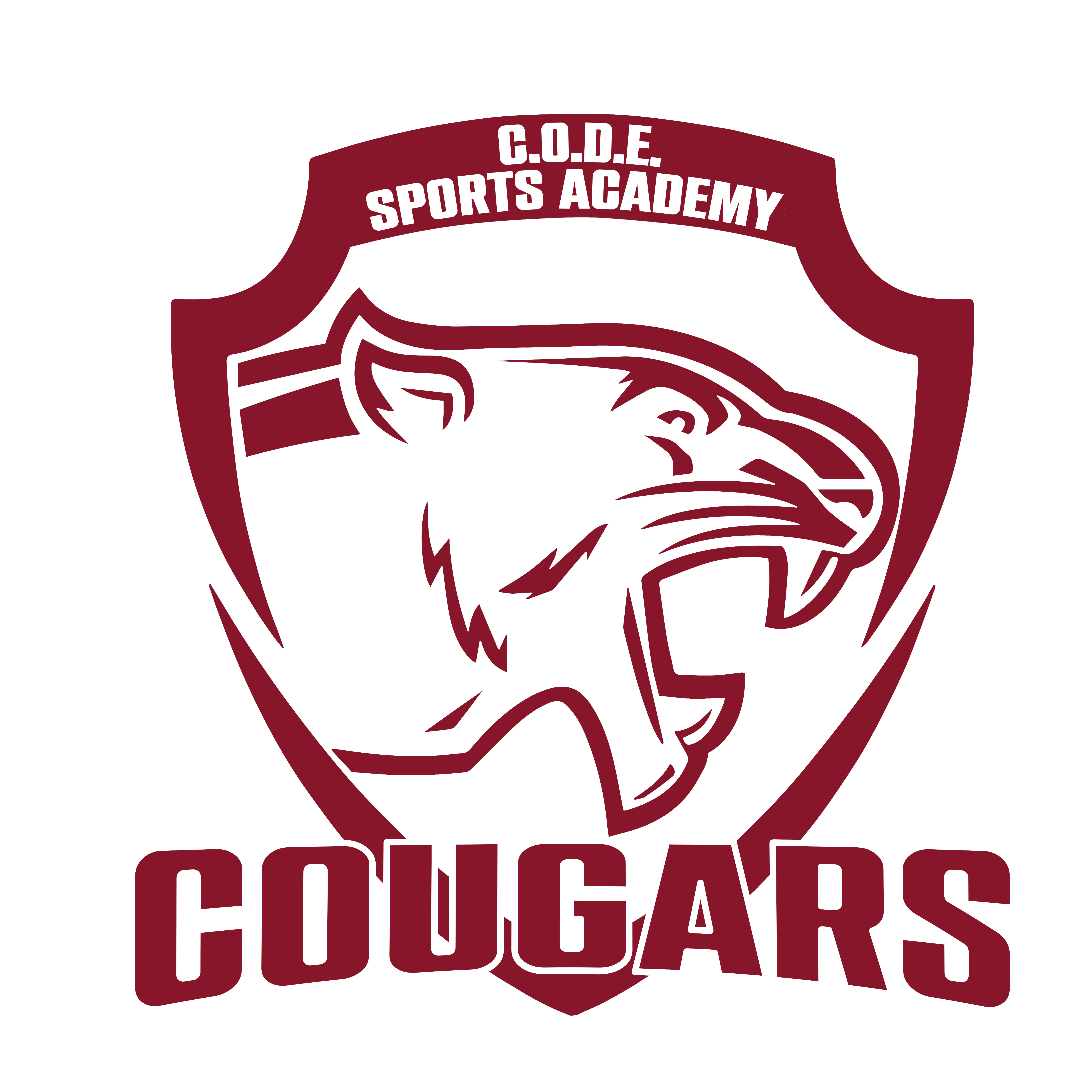 C.O.D.E Academy