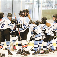 Bantam 2019-2020