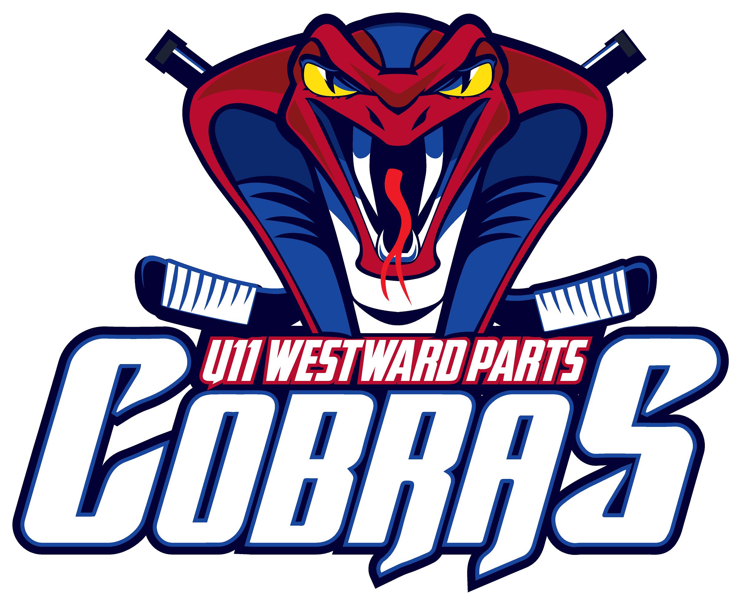 Home Logo