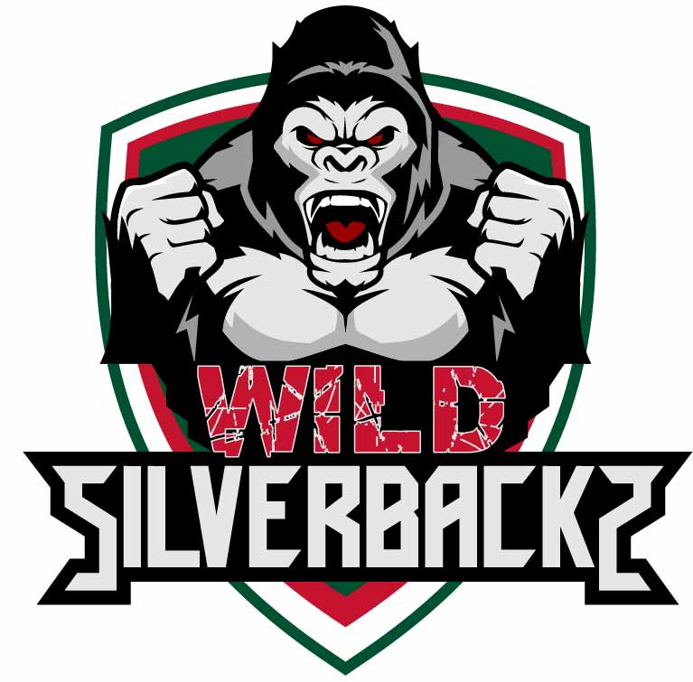 Home Logo