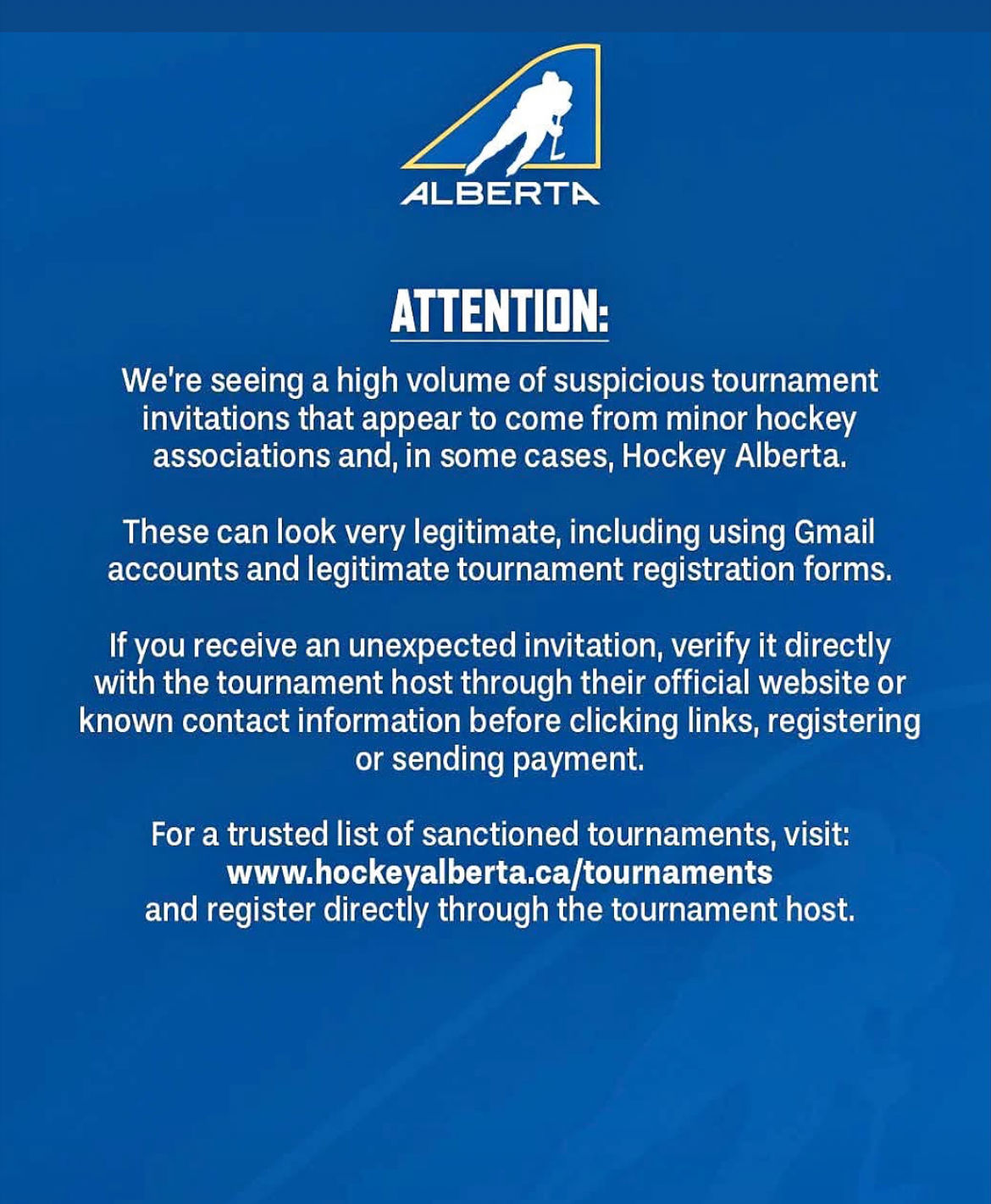 System Development Requirements Example Report Blindman Valley Minor Hockey Association