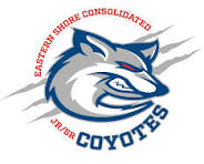 Eastern Shore Consolidated