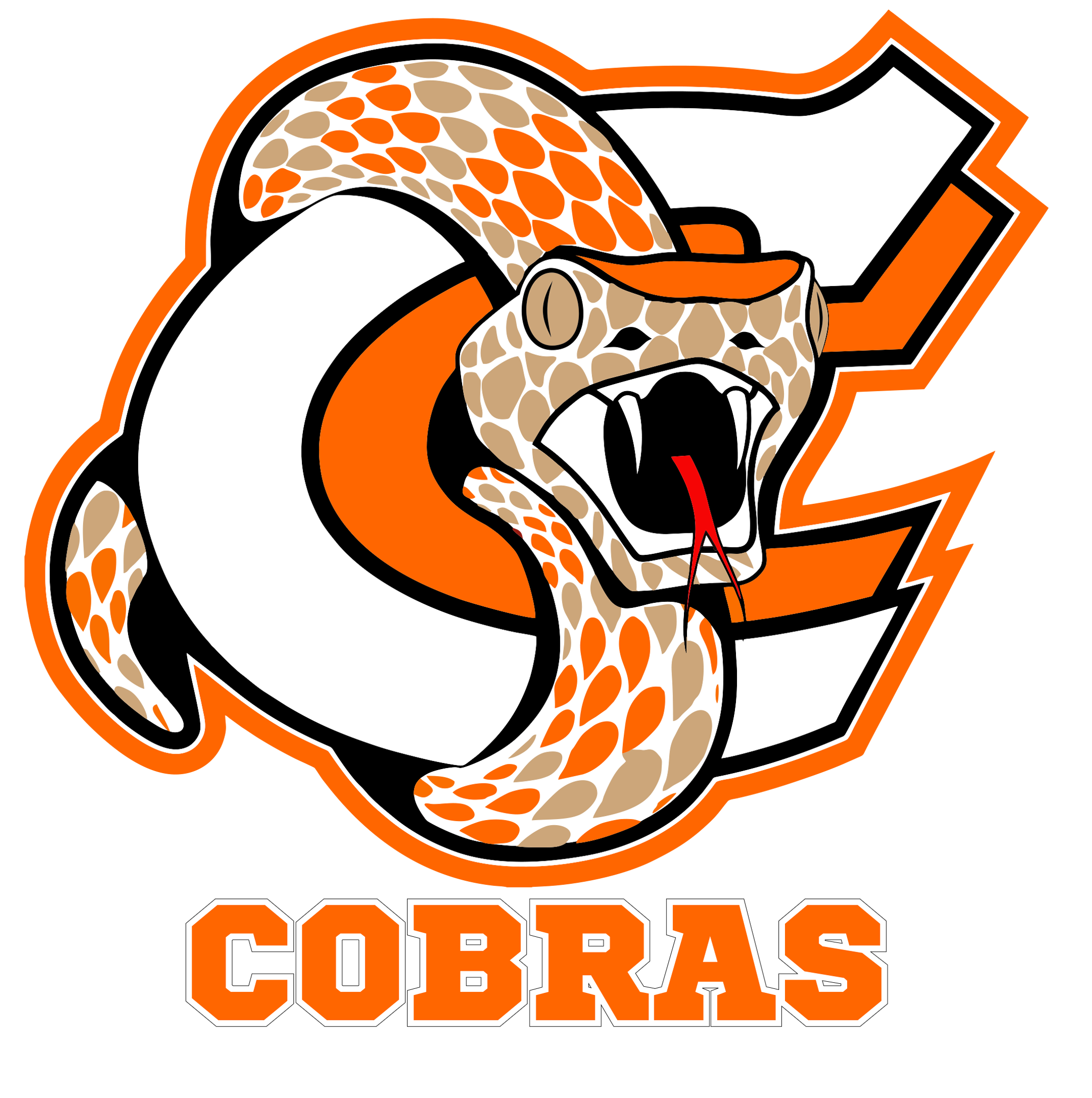 Home Logo