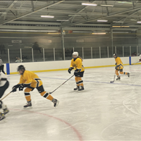 House League