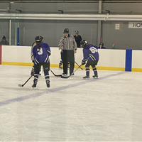 House League