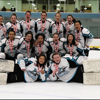 Bantam AA Provincials Bronze