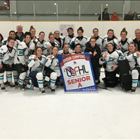 Misketis LLFHL Division Champs