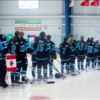 Midget AA Vs Qiqihar China