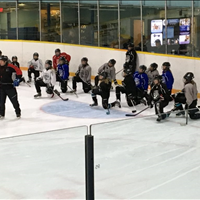 Player Development