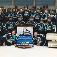 Bantam BB Gold at New Years Classic Tournament