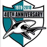 Anniversary Logo